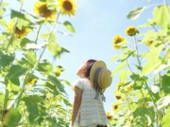 日本にいるから四季を感じられる。夏の風物詩を味わいつくせるスポット4選