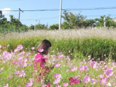 近場でリッチ旅行のすゝめ。遠くへ行くより安くて満足♡特別な禁断スポット5選