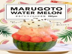 【大阪】まるごとの次はそのまんま♡ブラザーズカフェから「苺ショートかき氷」が発売！