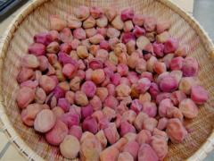 2週間で－3キロ痩せ！「梅干し」のダイエット効果がすごすぎる