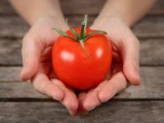 トマトマニアの私が教える。美容と健康・ダイエットにも！最強トマトレシピ
