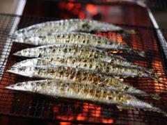 【9／4】秋の味覚を0円でいただきます「目黒さんま祭り2016」が開催！
