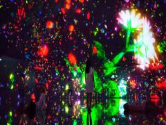 暑さを忘れて癒やされたい。圧倒的美しさの「チームラボ」のデジタルアート