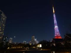 「都会の空は綺麗じゃないから」気になる彼を誘う口実になる3つの星空スポット