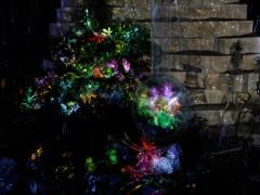 東京にあらわれた魅惑の楽園。2016夏「FLOWERS BY NAKED」が開催！