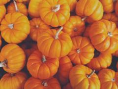 〔日本限定〕ギャレットにもハロウィンがやってきた！パンプキンが香る秋の新作フレーバ