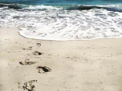 センスの良いお土産といえばコレ♡ハワイで買いたい"こだわりソープブランド"3選