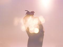 暑い夏、感じたいのは涼しげな美しさ。目で見てひんやりおでかけスポット特集