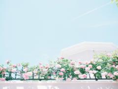 夏には、ちょっぴり甘酸っぱさが必要。キュンとする”レモンドリンク”3選