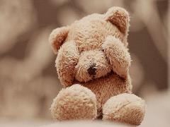 可愛すぎて食べられない！キュン♡が止まらない話題の”くまさんスイーツ”