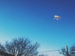 世界へ羽ばたくあなたへ。留学に持って行くと便利なアイテム5選