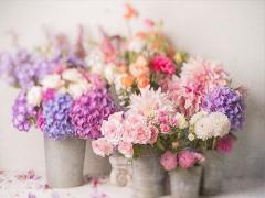 〈南青山〉花と緑を感じる空間。お花屋さんの営むカフェで優雅なひとときを過ごそう