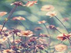 季節に合った可愛さを。春夏秋冬をお花ネイルで楽しもう♡