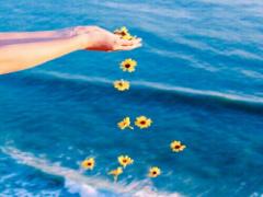 夏だからこそ食べたい！【都内】カレーが美味しい昭和レトロな喫茶店3選