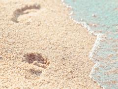 気分はまるでマーメイド。美しすぎる海底世界が広がるウォーターパークとは？