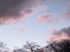 切なくって愛しい気持ちをのせて。ほろ甘“スモーキーピンク”で作る大人フェミニンな指