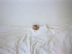 3時のおやつは、懐かしい味がした。3つの材料からつくるもちっぷる「ミルクもち」