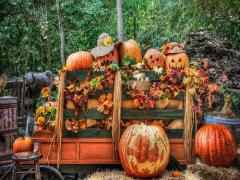 この美味しさ、秋限定♡おいも・かぼちゃ・栗を使った新作スイーツ発売日まとめ