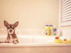 お風呂に入ろう！ポカポカ効果で一気に痩せる「お風呂ダイエット」がアツい