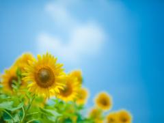 アツい夏こそクールに決める。大人カッコいいをゲットできる黒ネイル15選