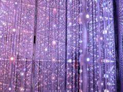 感動する程美しい。台場・六本木でフォトジェニックなデジタルアートを楽しもう