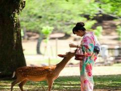 ランチタイムは奈良公園で♡おすすめの美味しいお店が盛りだくさん