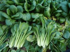 ラーメンで中身から綺麗に。「太陽のトマト麺」で美容と健康をGETしましょ♡