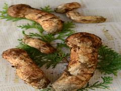 香り豊かな松茸を使った贅沢レシピ。秋の高級食材を堪能しよう♡