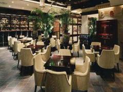 東京で本場の絶品ベトナム料理を堪能しましょ♡パクチー好き必見！