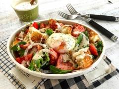 サラダで食卓に彩りを♡定番レシピから豪華なおもてなしまでお任せあれ