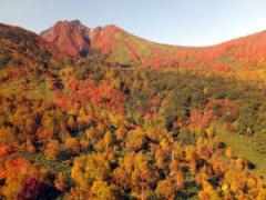 魅力は自然だけじゃない？那須のおしゃれカフェ6選