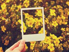 白と黄色は秋の色。秋の訪れを感じさせる人気コンビニスイーツ4選