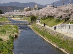 店長さんは20人！？コンセプトもメニューも毎日違う「タイムシェアカフェ」