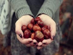 秋の味覚といえば栗！IGで見つけた1度は食べてみたい○○なモンブラン3選♡