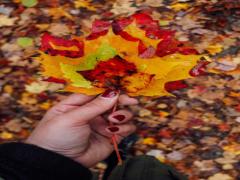 こっくり濃密カラーの虜♡大人可愛く魅了する3つの「深み色」ネイルデザイン