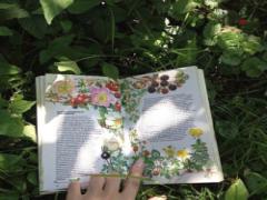 大好きなストーリーの世界に浸って。東京で開催中のキャラクター展覧会3選