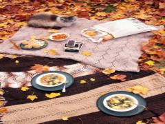 旬に食べれば美容効果は2倍です。秋だからそこ食べたい3つの食材レシピ