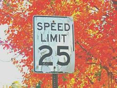 この秋、'美生活'を始めます♡ダイエット中でもOKな「キノコレシピ」大公開！