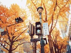 《〜90分》5大都市からすぐ。温泉×紅葉コラボを楽しむ欲張り小旅行♡