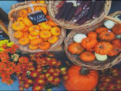 KALDIで揃えるハロウィンパーティを♡見た目も超かわいいオススメ商品10連発