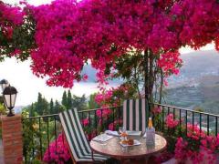 〔韓国〕そのかわいさ100点満点♡igで自慢したいテラス席のあるカフェ4選