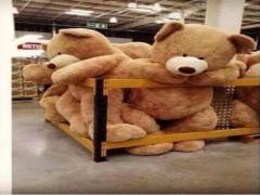 秋は期間限定の愛おしいスイーツたちを食べつくせ！絶対食べたい有名どころのスイーツ4選