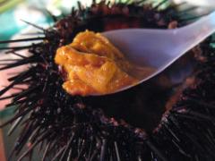 お金がなくても雲丹が好き。うにクリームパスタが5分で作れる'魔法の調味料'とは