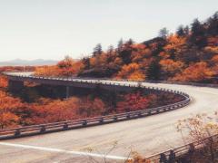 【決定版】赤に黄色にライトアップに。全国21の紅葉名所・見頃カレンダー