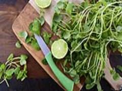 実は”最強野菜”だった!? 「クレソン」をおいしく食べる簡単レシピ