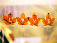 甘党さんいらっしゃ～い♡栗もお芋も抹茶も味わえちゃう「秋パフェ」4選