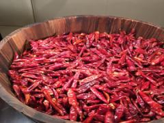 汗と涙が噴き出す激辛料理。強烈な刺激がクセになると病みつき者続出