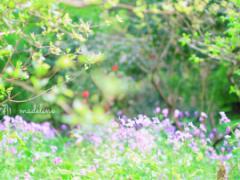 古都鎌倉でくつろぎの時間♡おしゃれカフェで一休みしませんか？