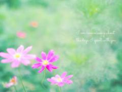 清澄白河でフォトジェニックなカフェ散歩！オシャレなお店がいっぱい