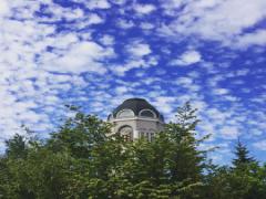 北海道で至福のスイーツタイム♡濃厚なクリームの虜になろう